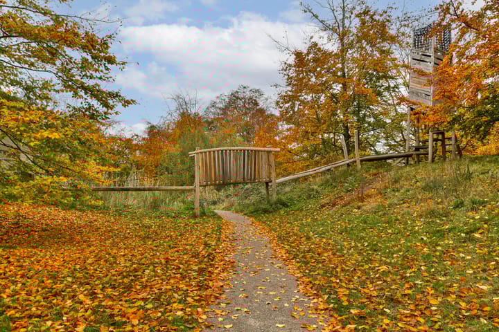 Photo 40 of Delle Alpihof 24