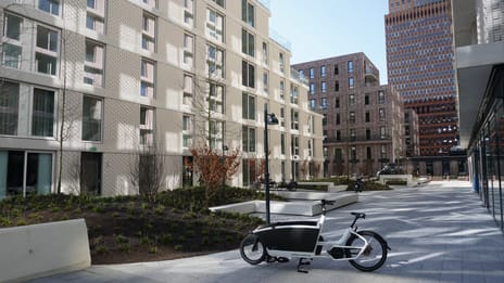 Rosy Wertheimstraat 43