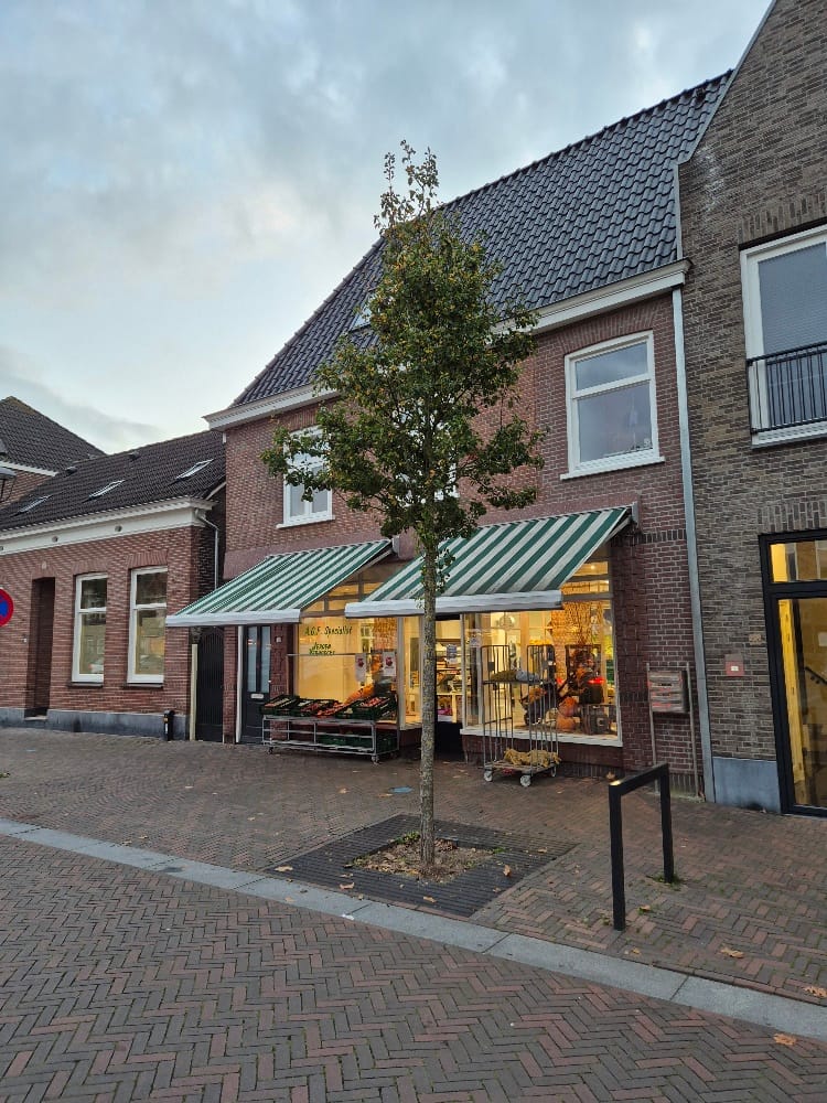 Bekijk foto 2 van Mgr. Zwijsenplein 22