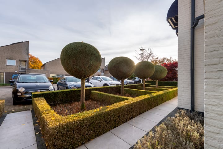 Foto 62 van Volkerak 10