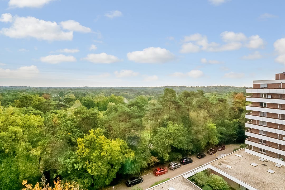 Foto 28 van Bosuillaan 73