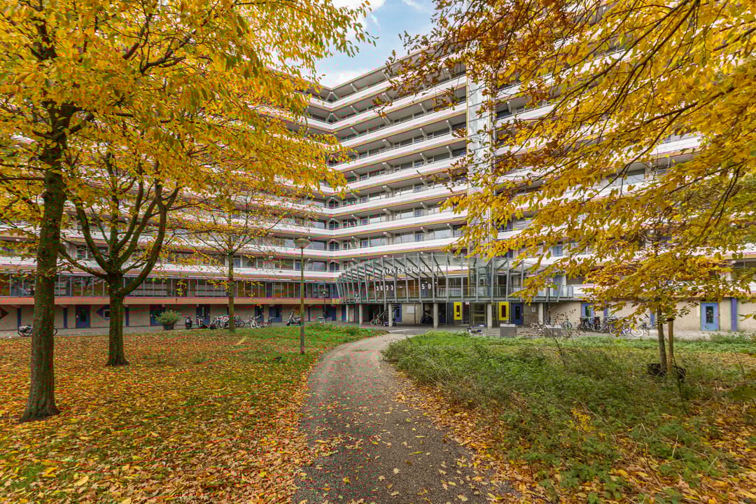 Foto 1 van Kikkenstein 3743