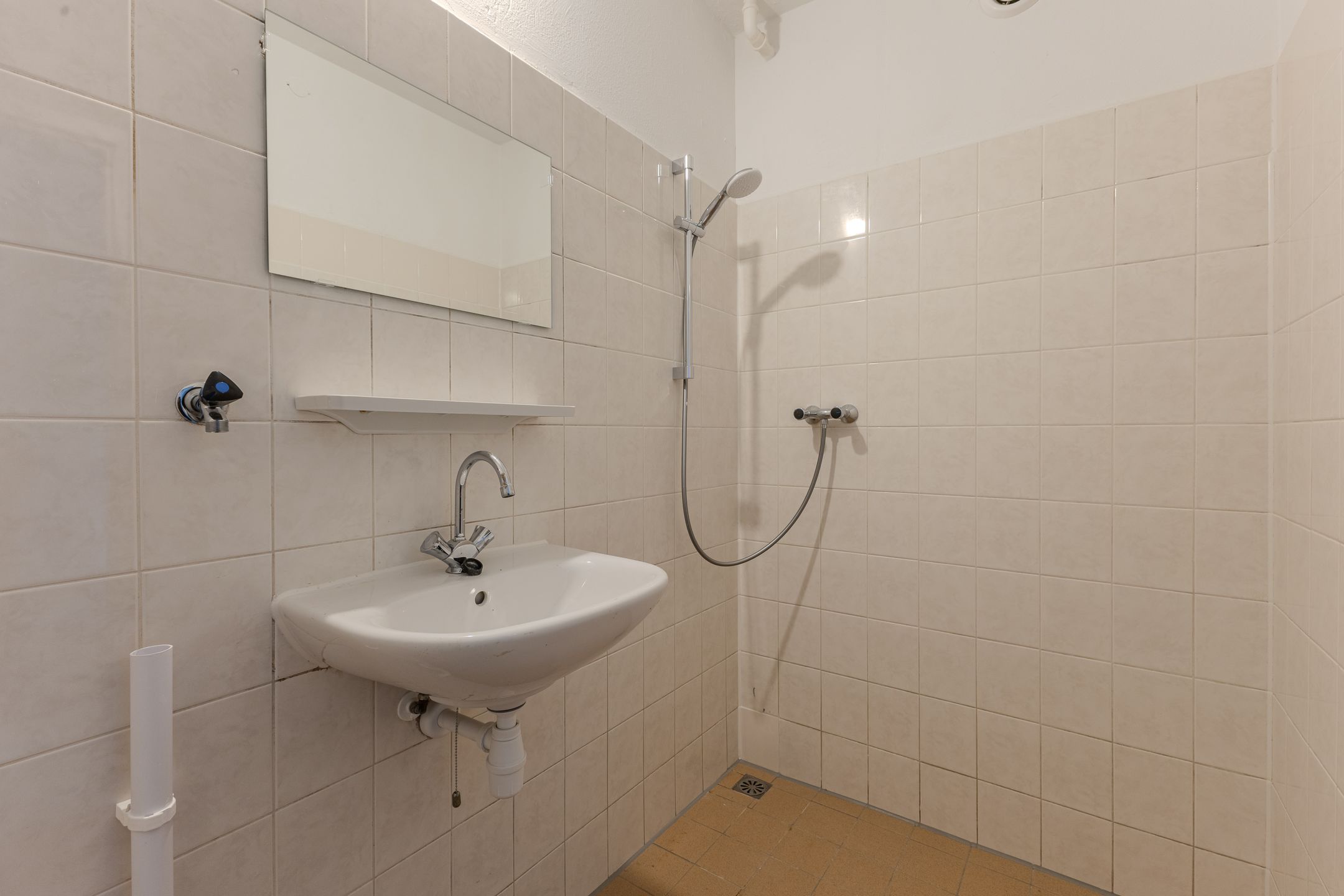 Foto 12 van Kikkenstein 3743