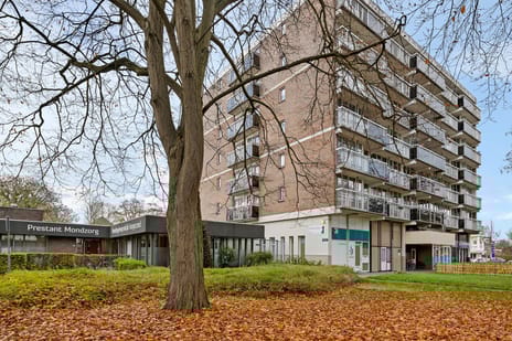 Hoofdstraat thumbnail