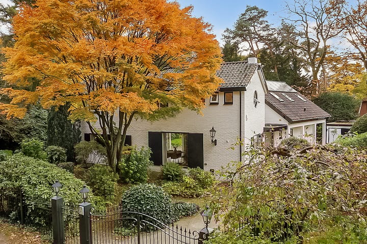 Torenlaan 6 main image