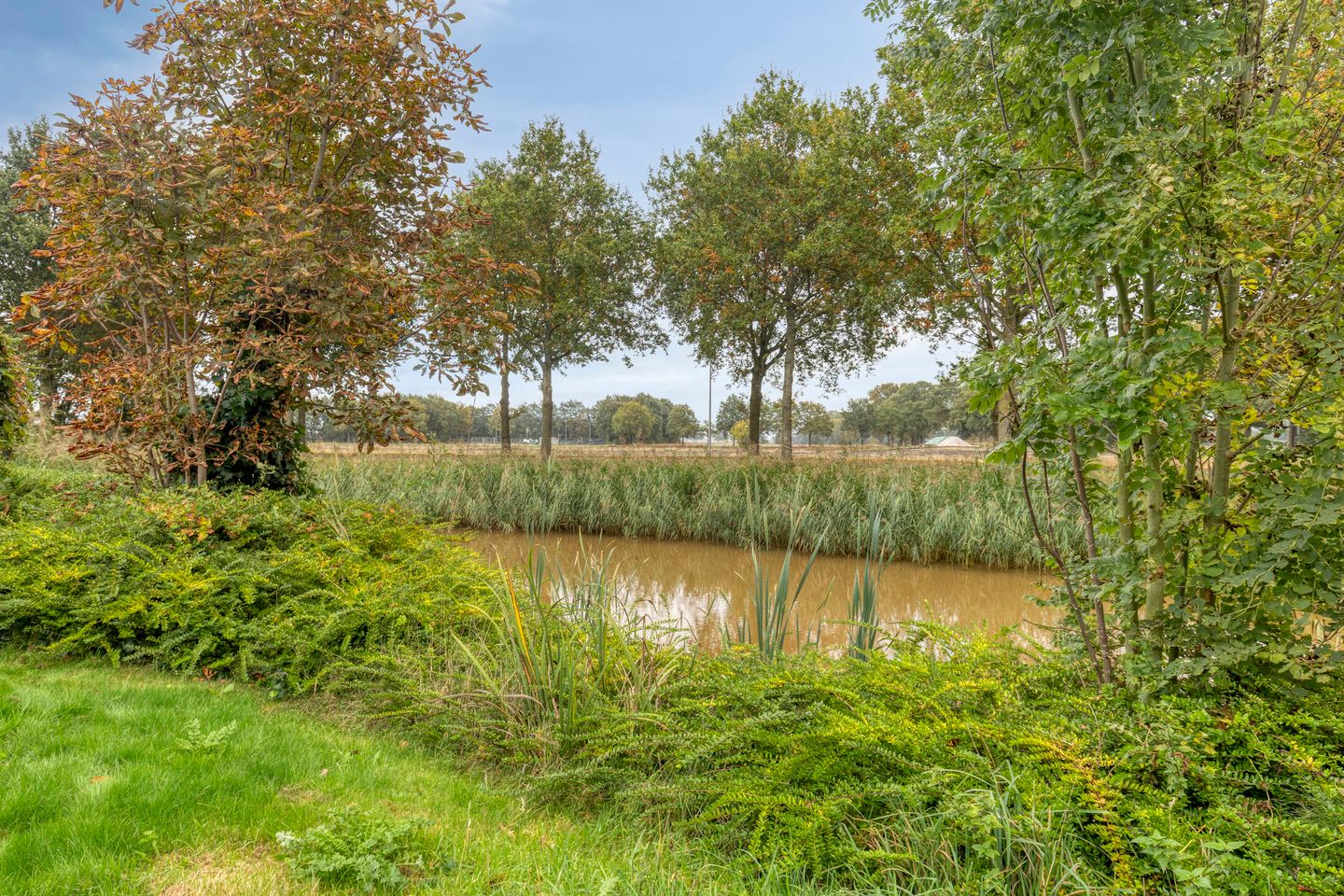 Photo 34 of Hendricus Krijthestraat 13