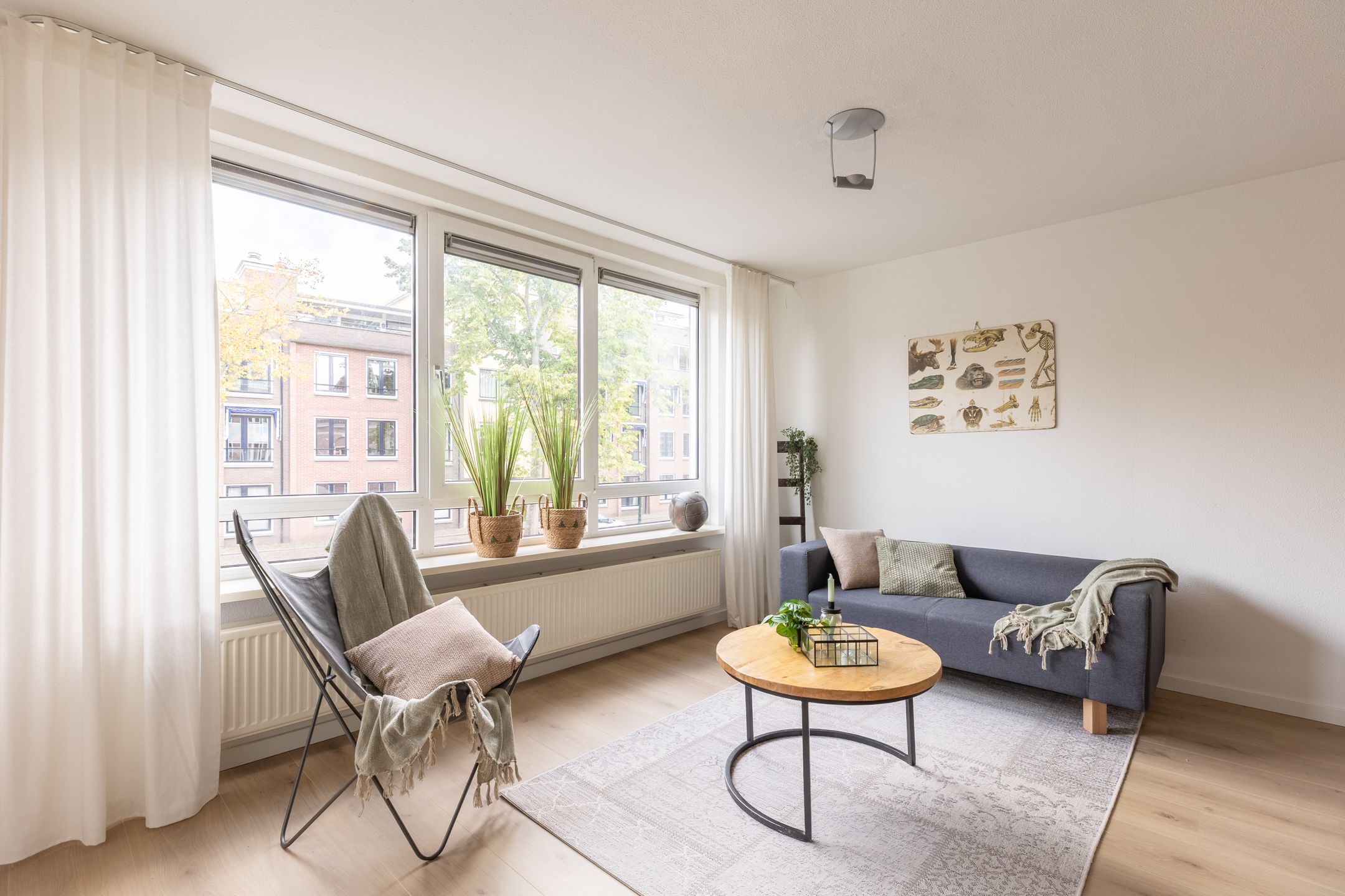 Photo 6 of Lindegracht 14-A