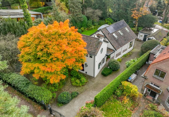 Photo 67 of Torenlaan 6