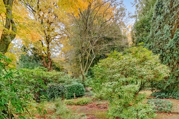 Photo 70 of Torenlaan 6