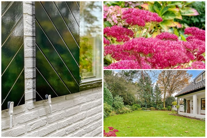 Photo 77 of Torenlaan 6