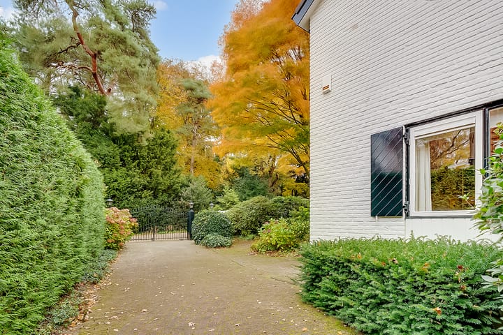 Photo 96 of Torenlaan 6