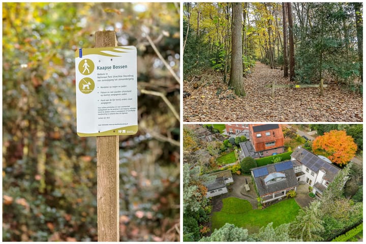 Photo 99 of Torenlaan 6