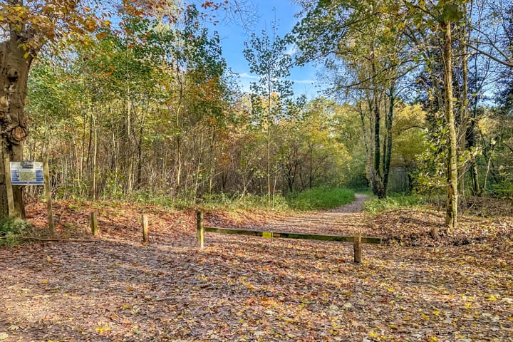 Photo 101 of Torenlaan 6