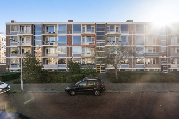 Foto 6 van Frans Cobellaan 60