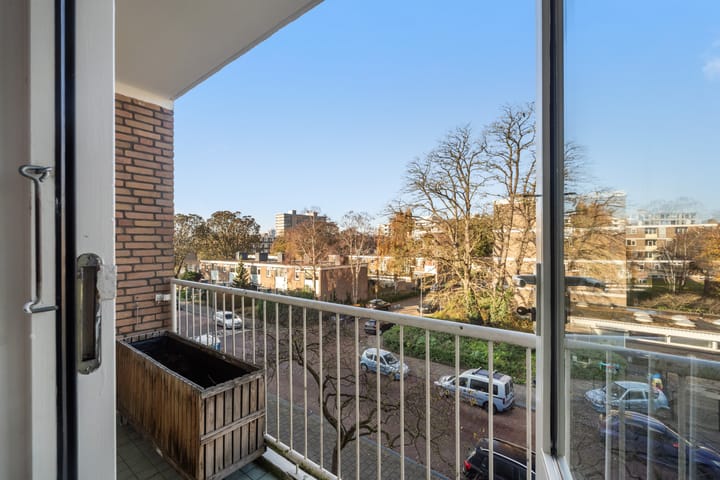 Foto 5 van Frans Cobellaan 60