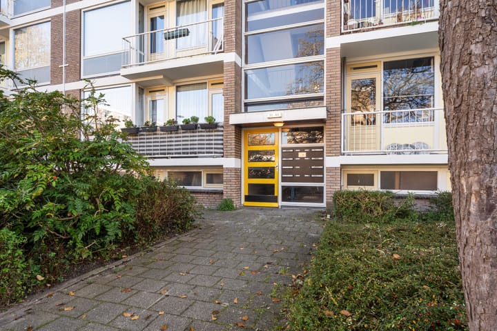 Foto 8 van Frans Cobellaan 60