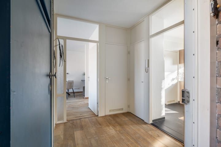 Foto 9 van Frans Cobellaan 60