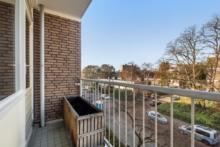 Foto 14 van Frans Cobellaan 60