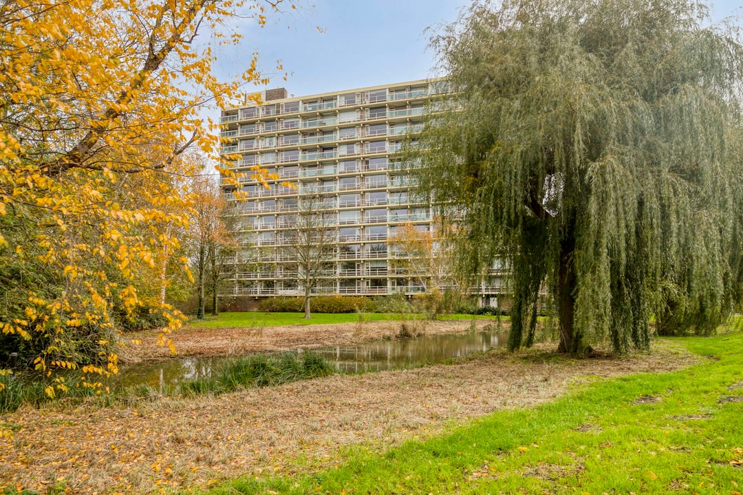 Foto 2 van Tobias Asserlaan 106