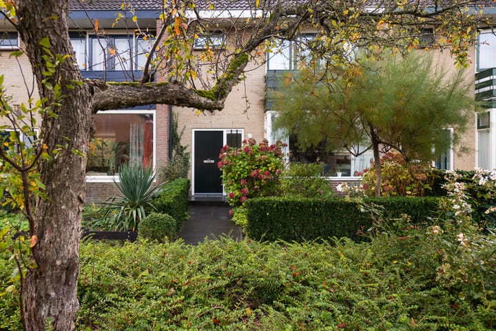 Photo 41 of Jasmijnlaan 7