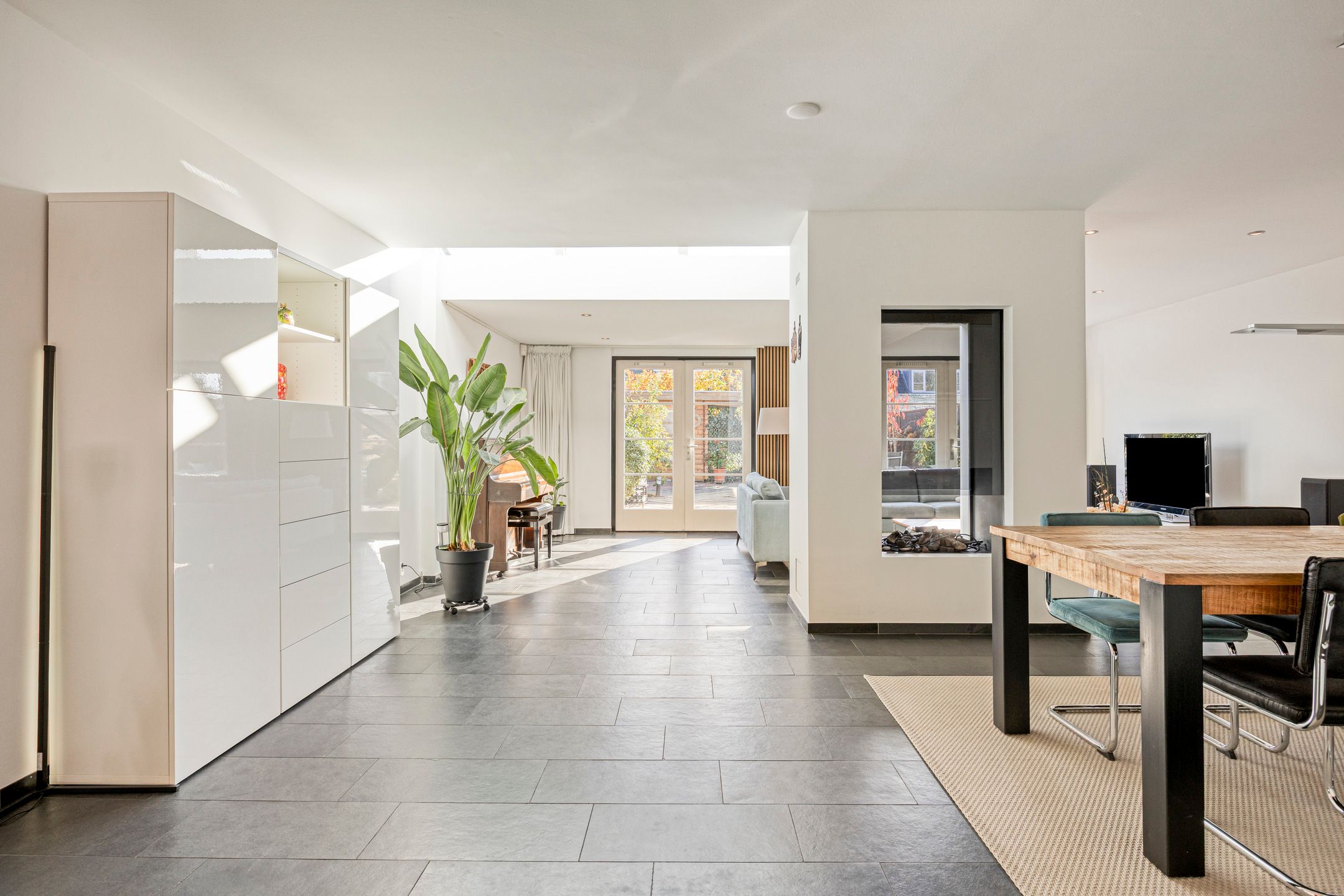 Foto 3 van IJsvogel 65