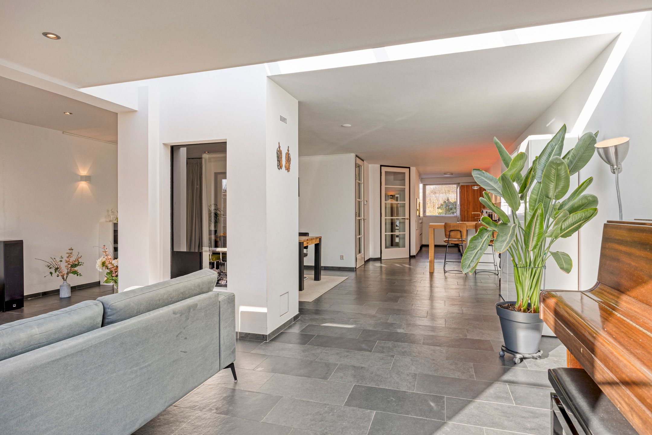 Foto 9 van IJsvogel 65