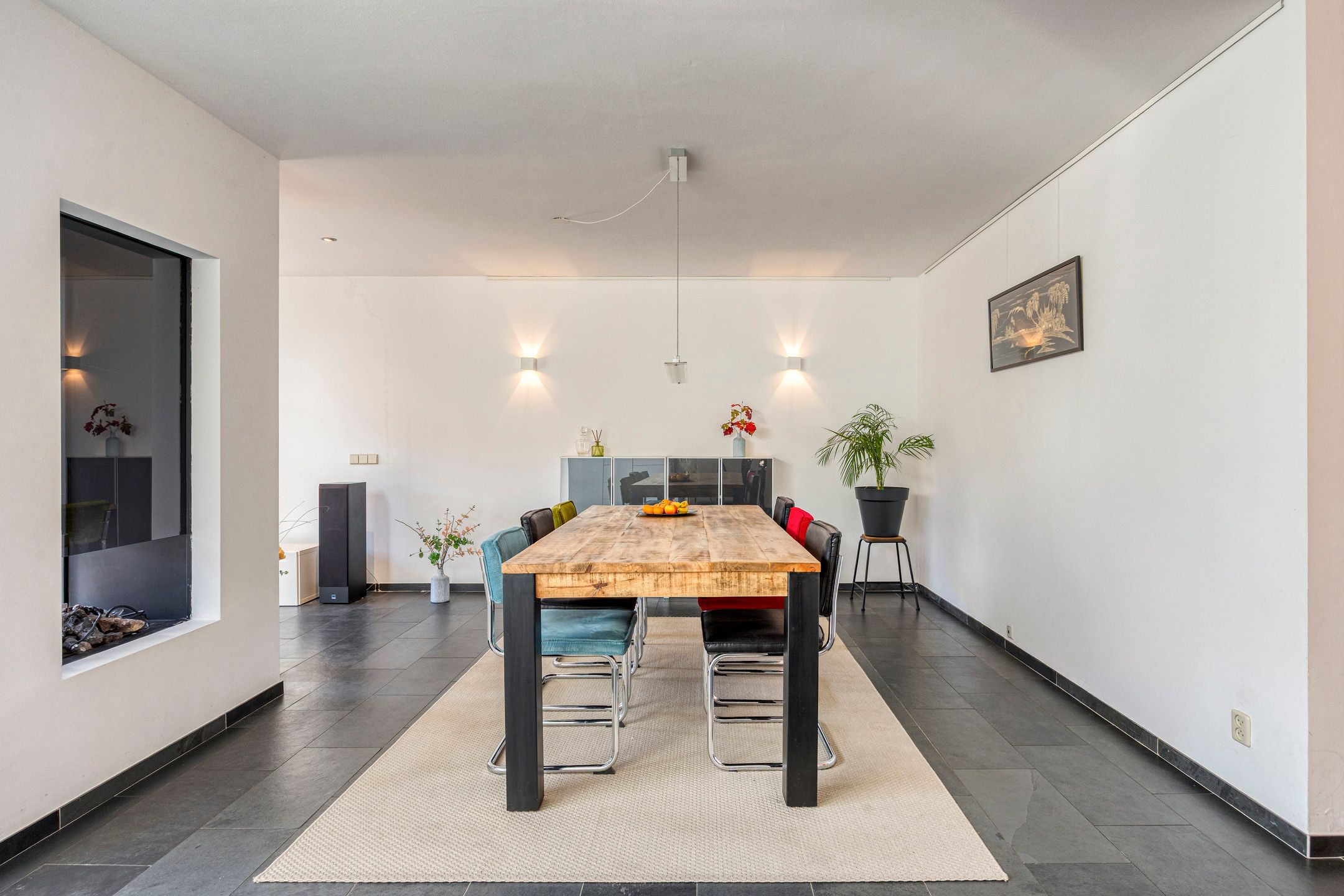 Foto 12 van IJsvogel 65