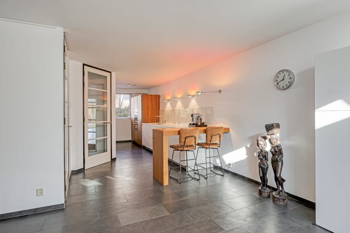 Foto 15 van IJsvogel 65