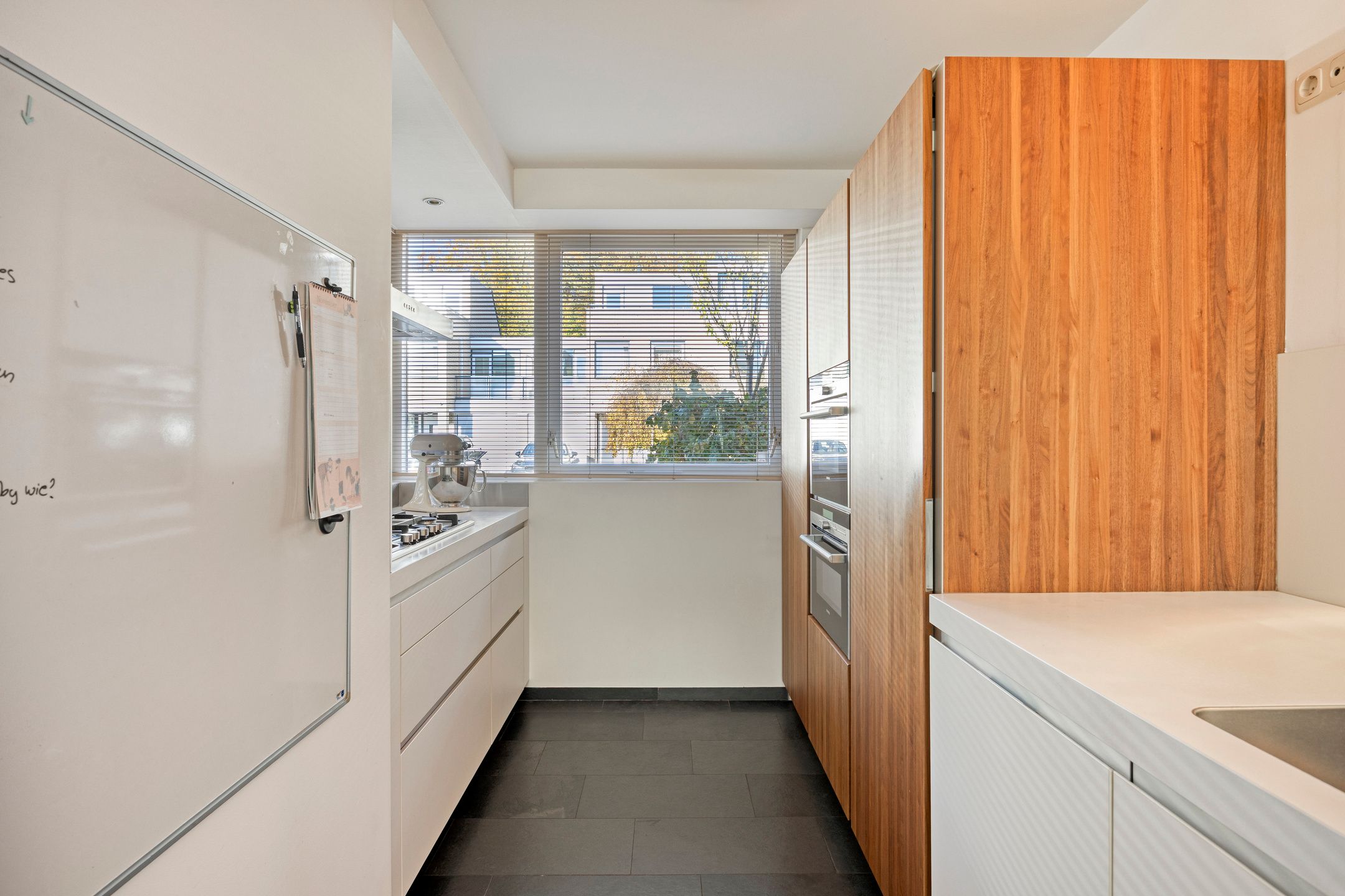 Foto 18 van IJsvogel 65