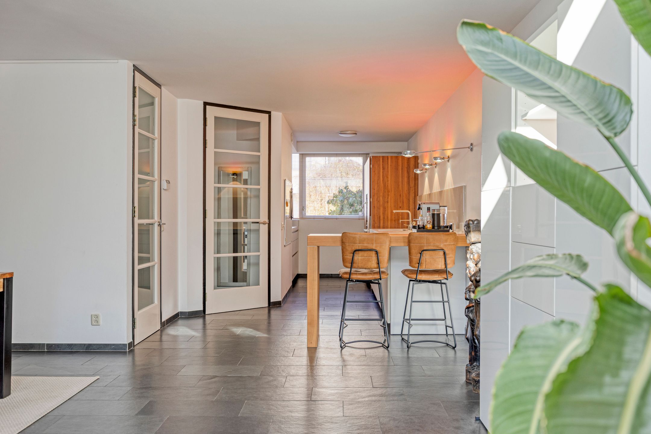 Foto 24 van IJsvogel 65