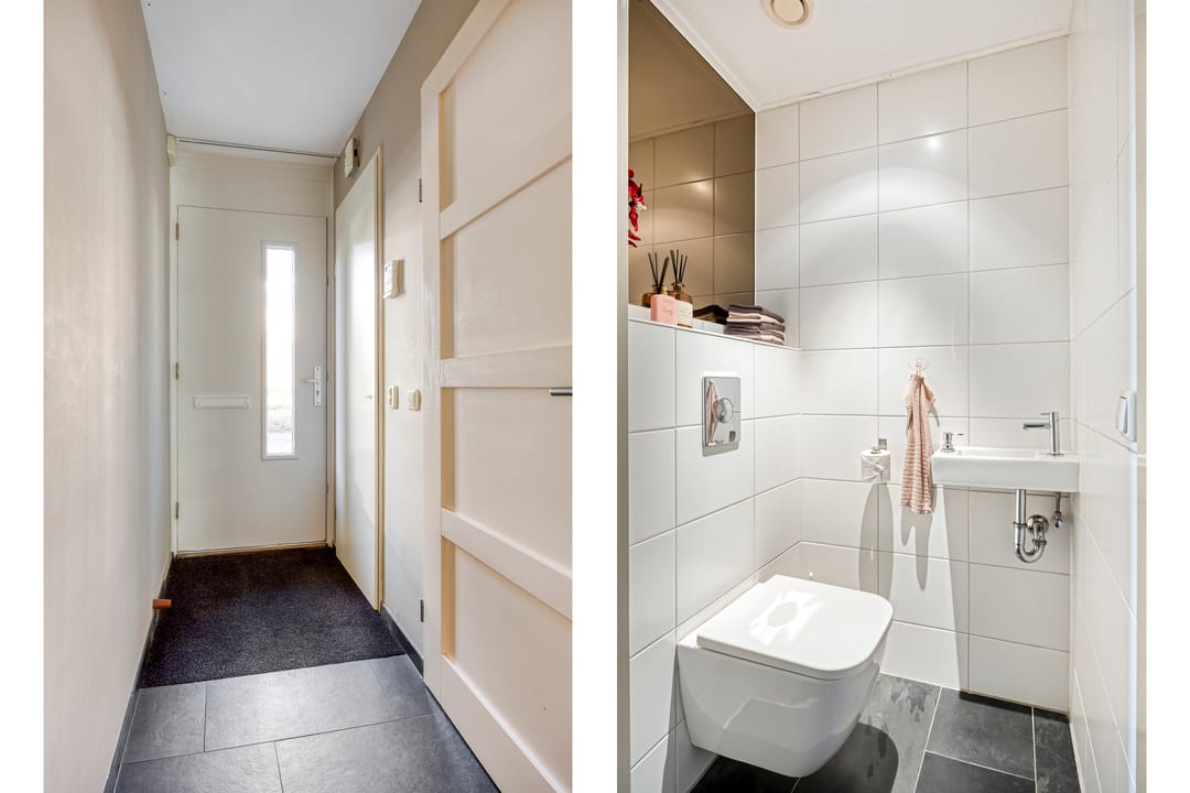 Foto 26 van IJsvogel 65