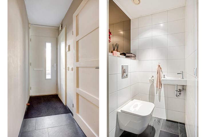 Foto 26 van IJsvogel 65