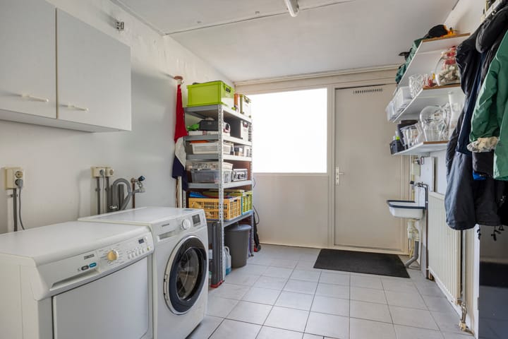 Foto 27 van IJsvogel 65