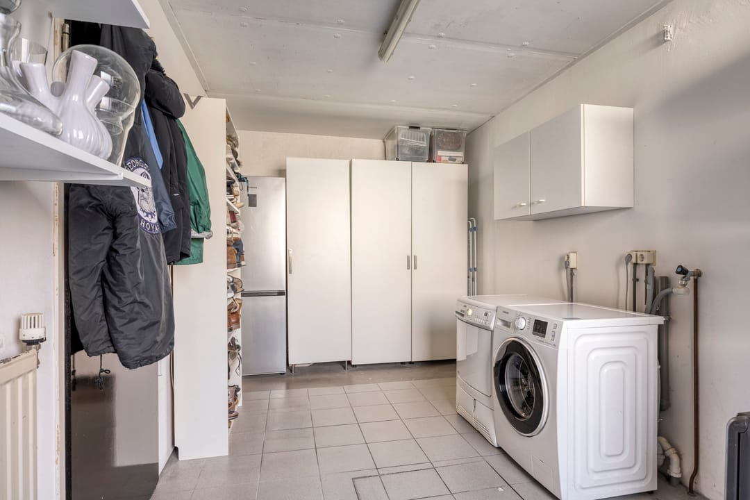 Foto 28 van IJsvogel 65