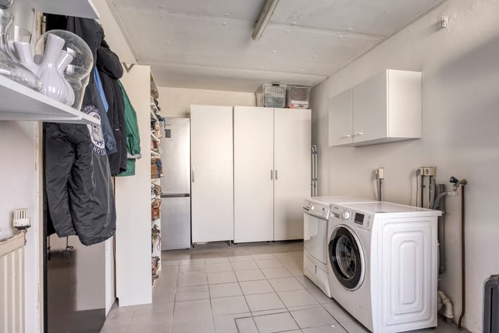 Foto 28 van IJsvogel 65