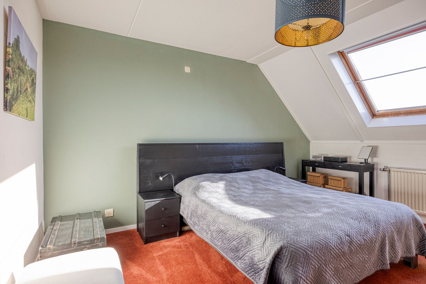 Foto 29 van IJsvogel 65