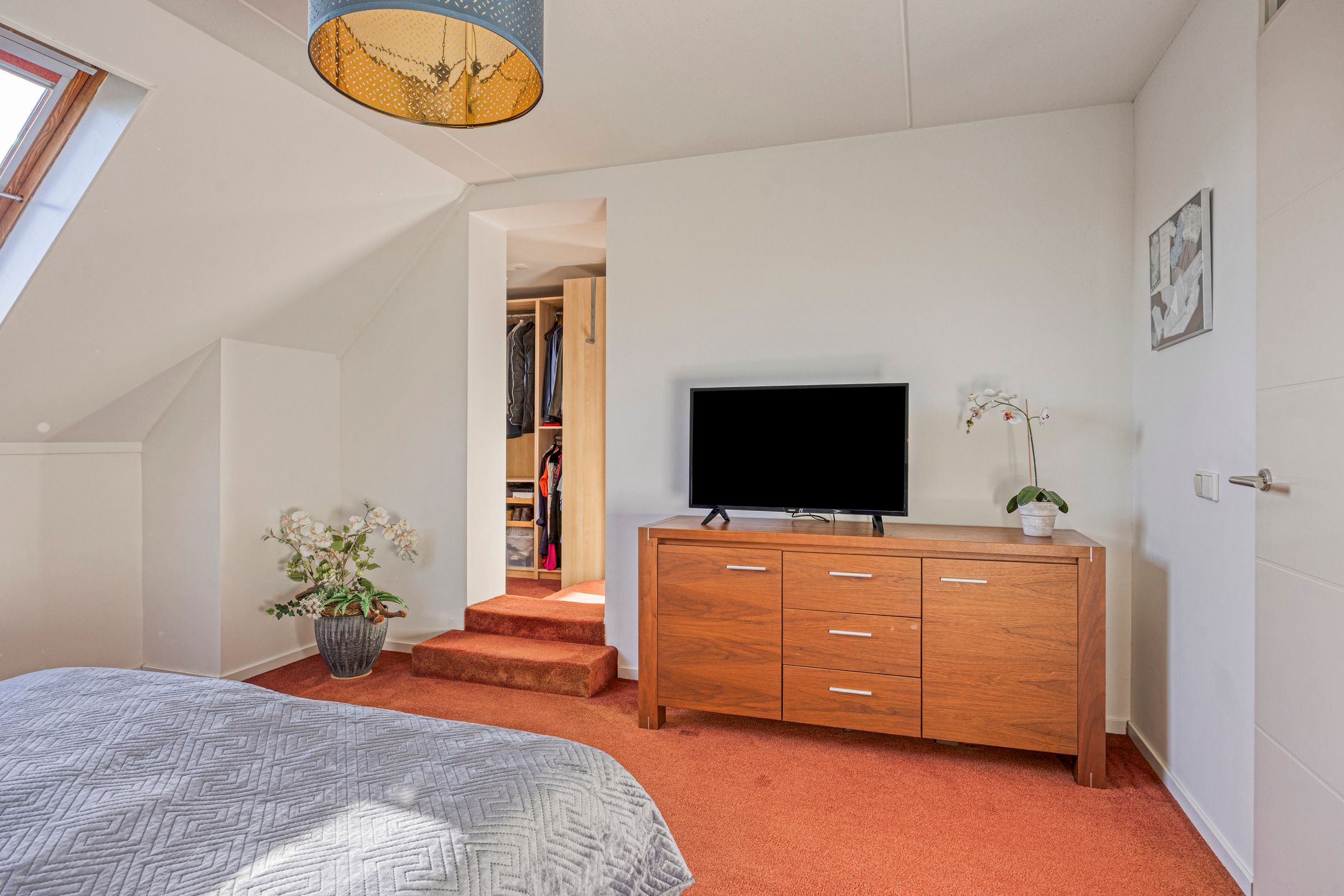 Foto 30 van IJsvogel 65