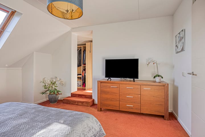 Foto 30 van IJsvogel 65