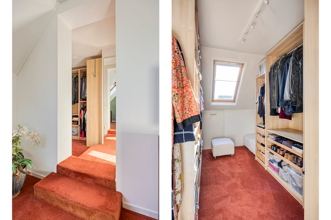 Foto 31 van IJsvogel 65