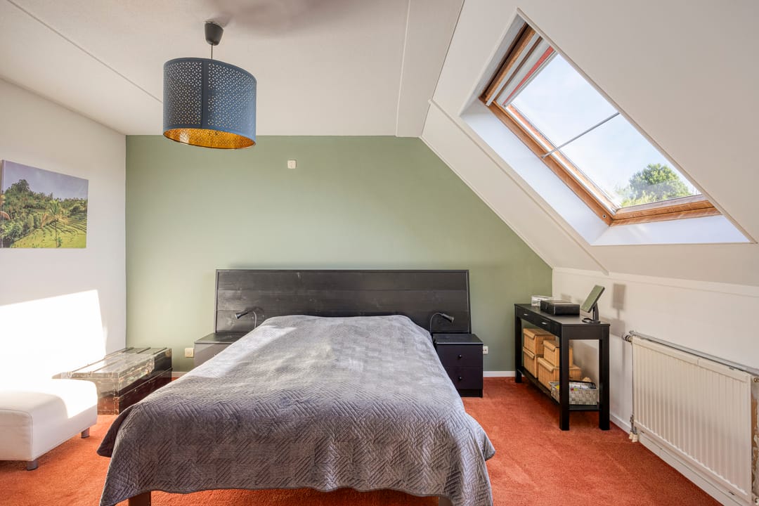 Foto 32 van IJsvogel 65