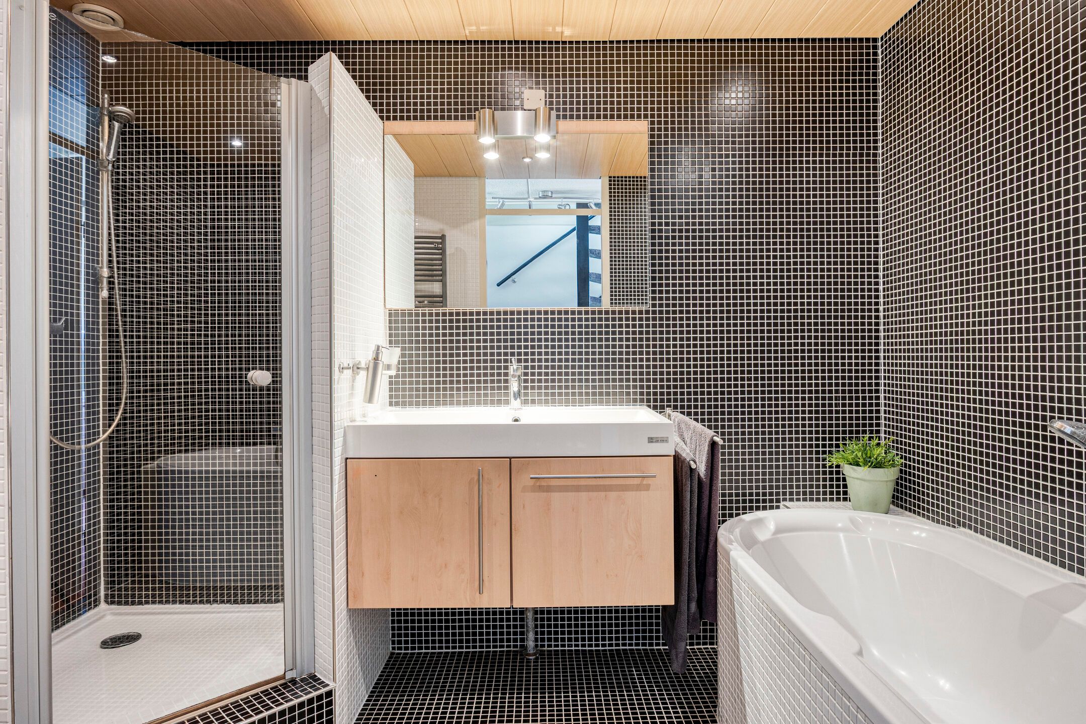 Foto 33 van IJsvogel 65