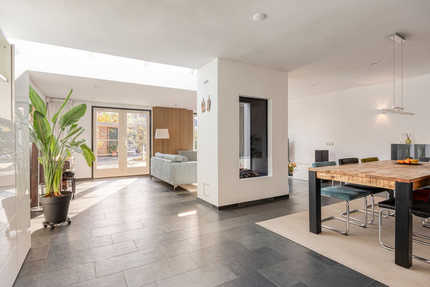 Foto 4 van IJsvogel 65