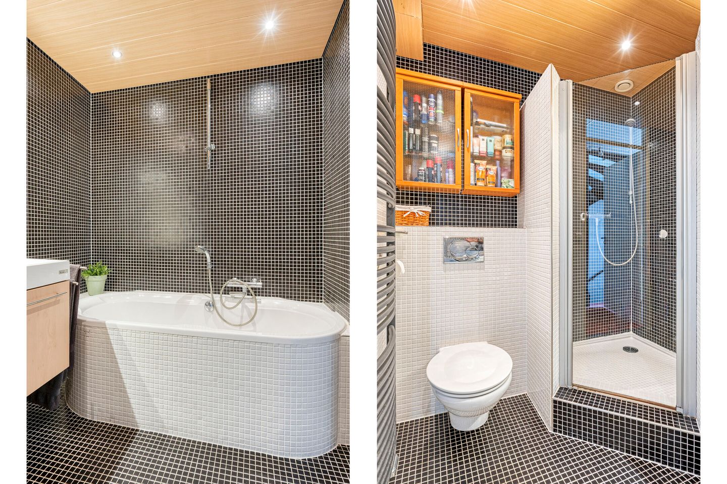 Foto 34 van IJsvogel 65