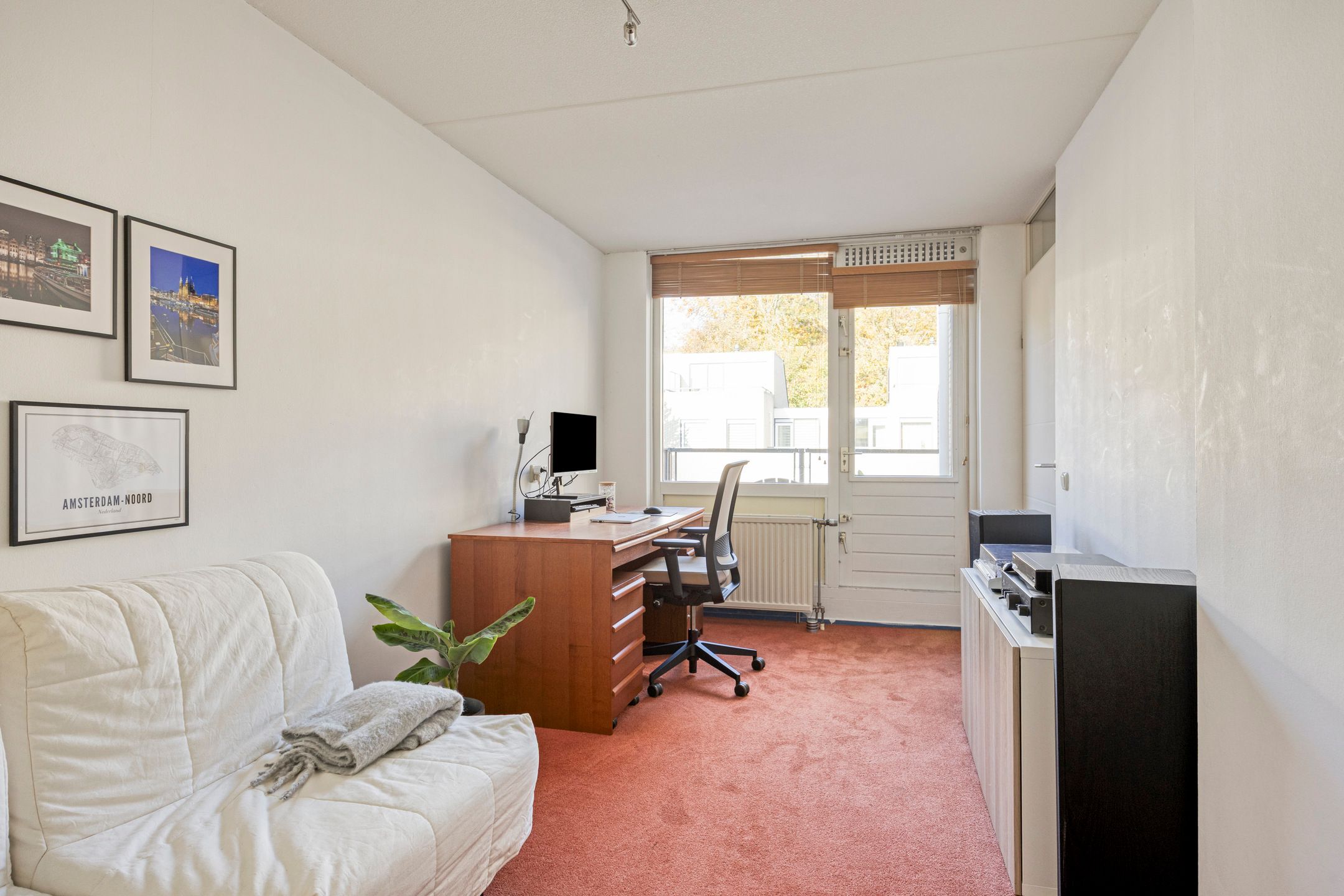 Foto 36 van IJsvogel 65