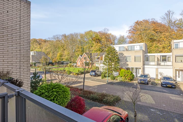 Foto 38 van IJsvogel 65