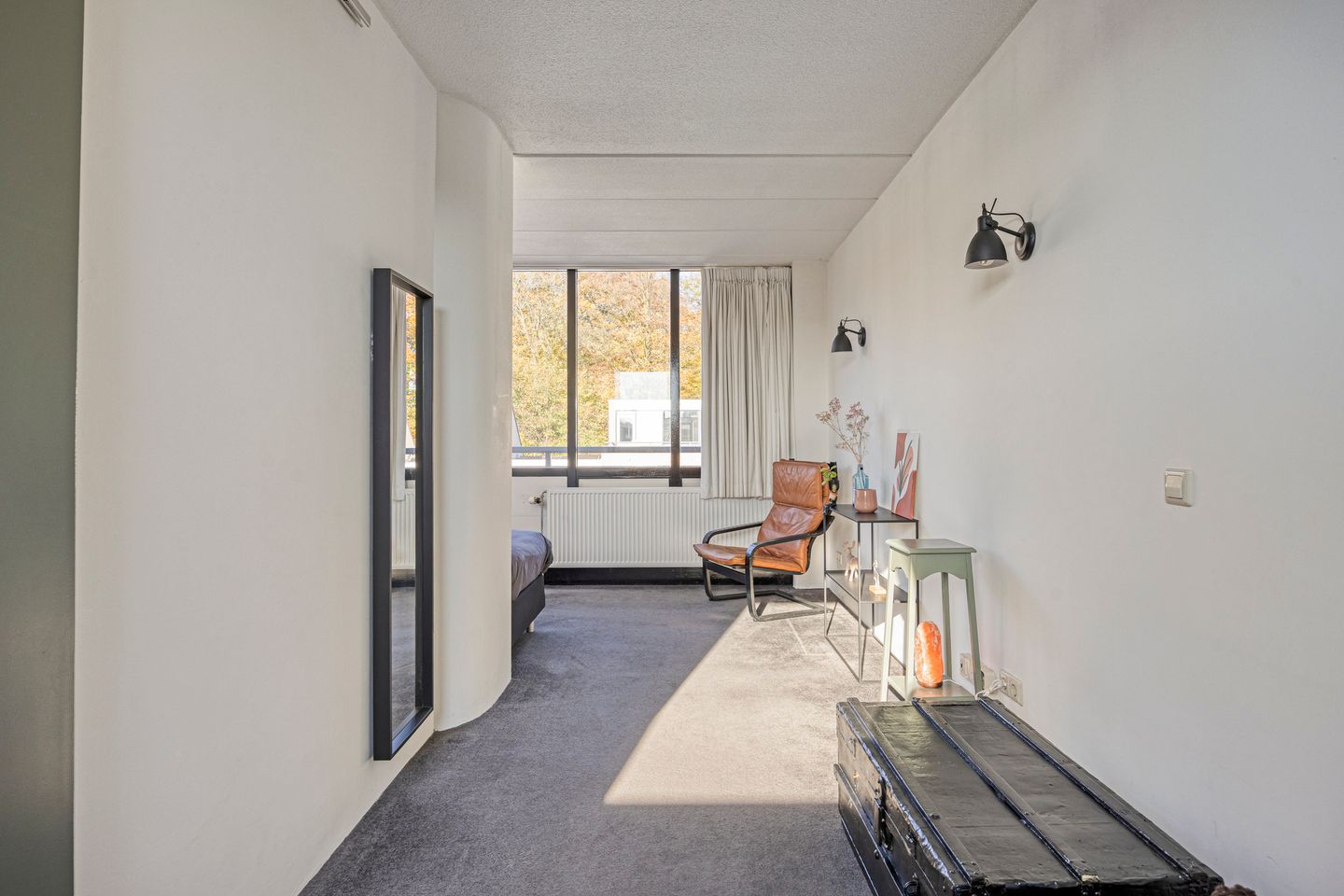 Foto 40 van IJsvogel 65