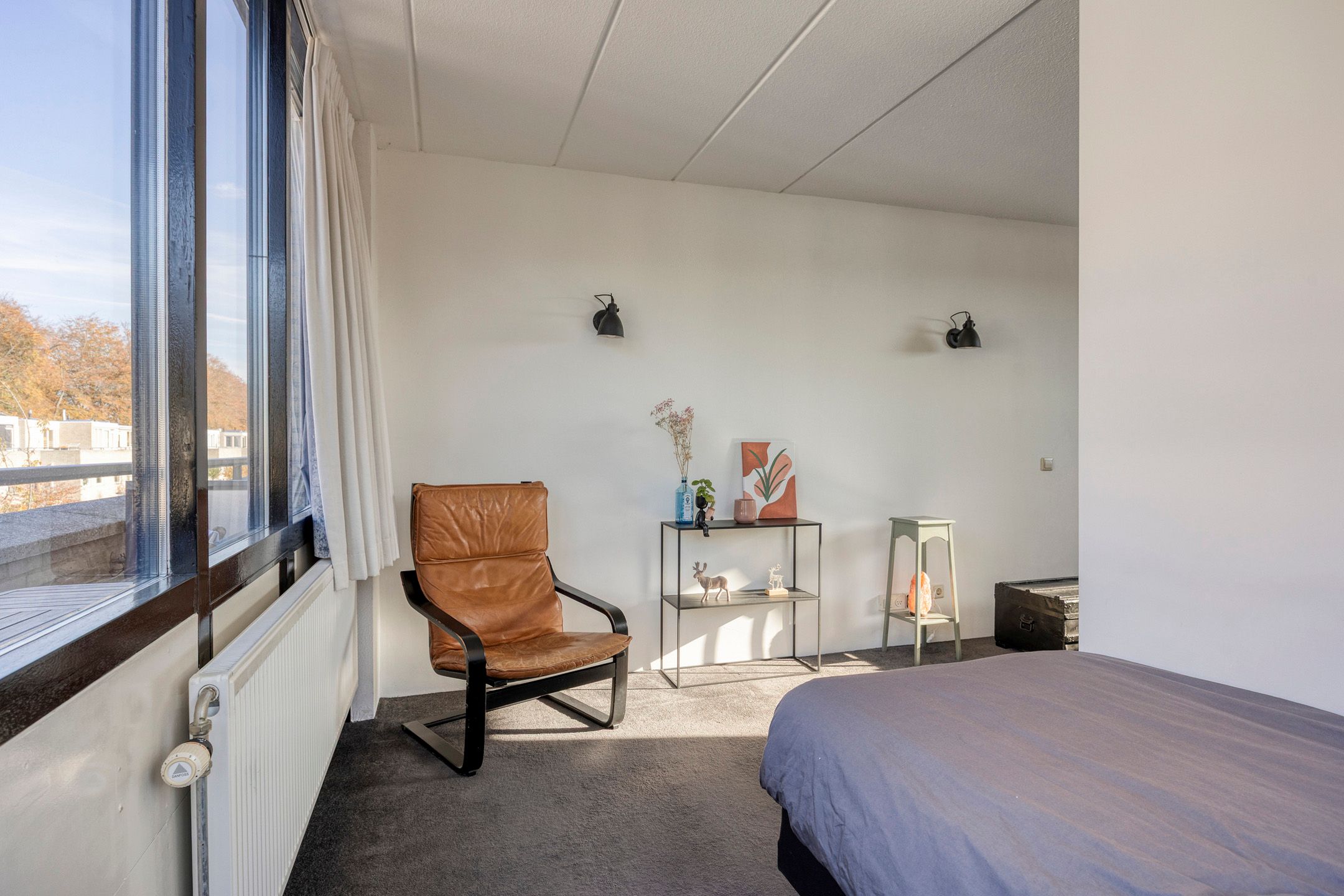 Foto 42 van IJsvogel 65