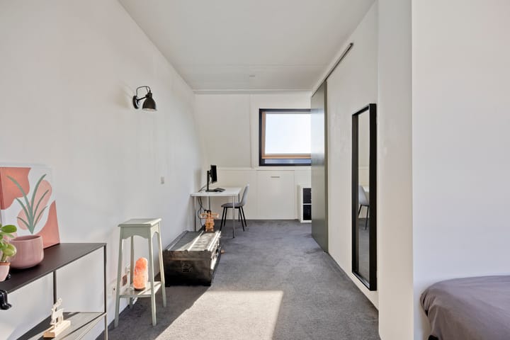 Foto 43 van IJsvogel 65