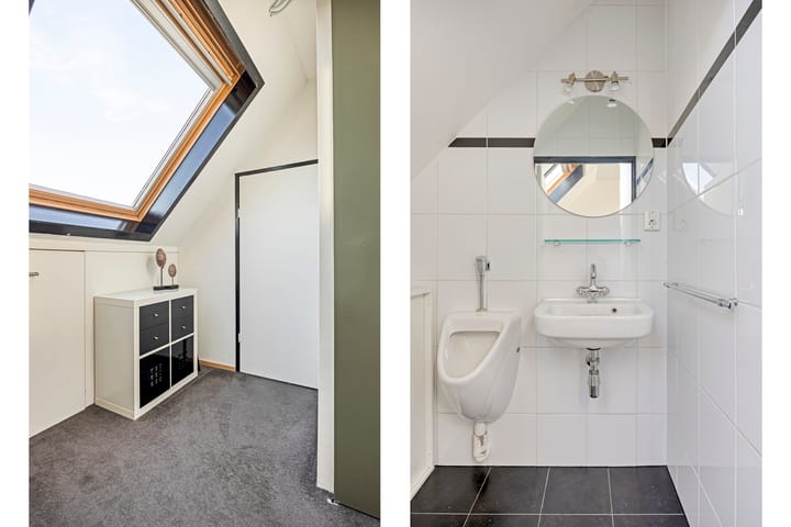 Foto 44 van IJsvogel 65