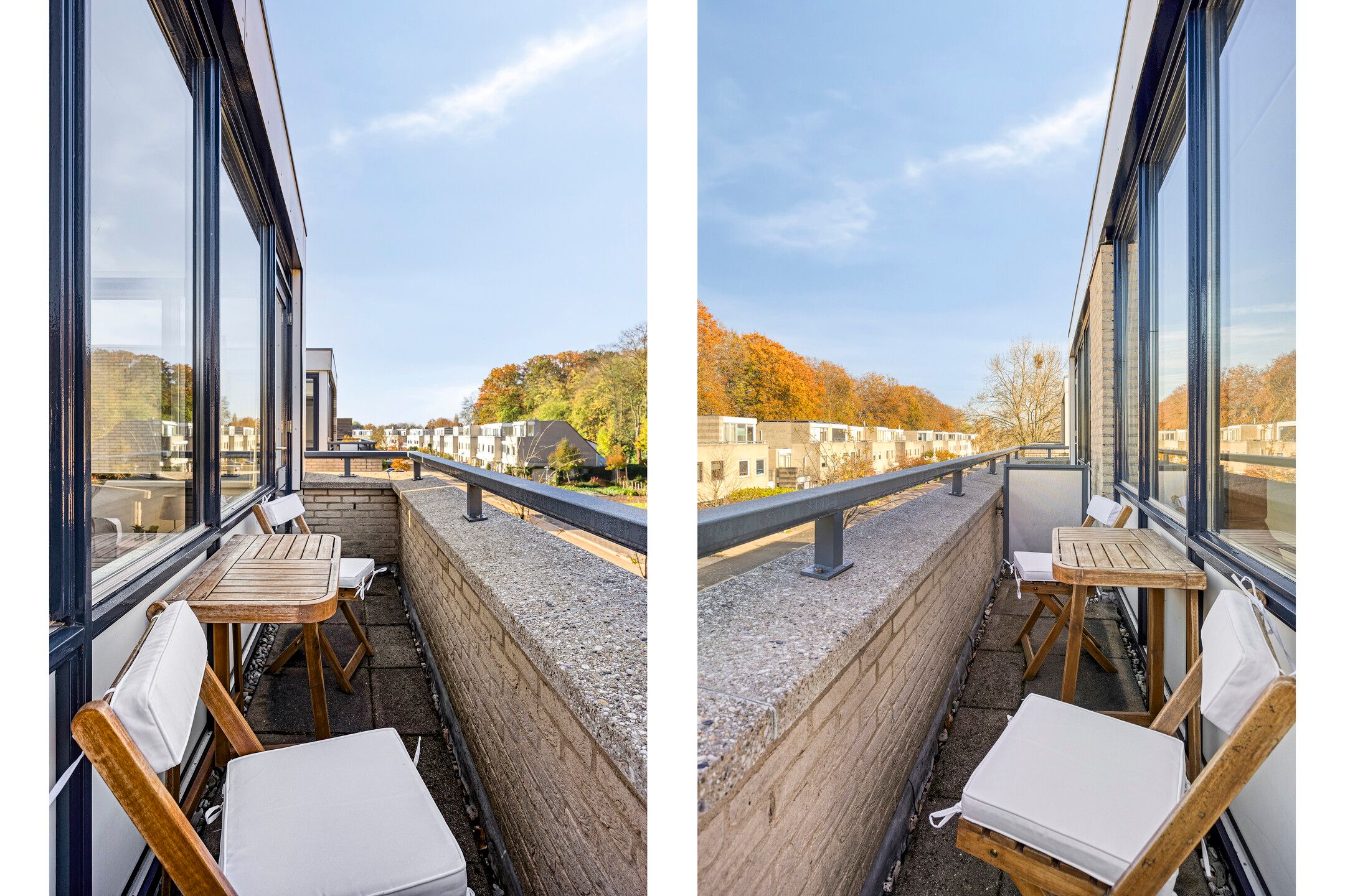 Foto 45 van IJsvogel 65